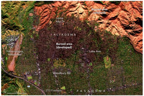 圖4、2025年1月11日受伊頓野火衝擊之衛星影像