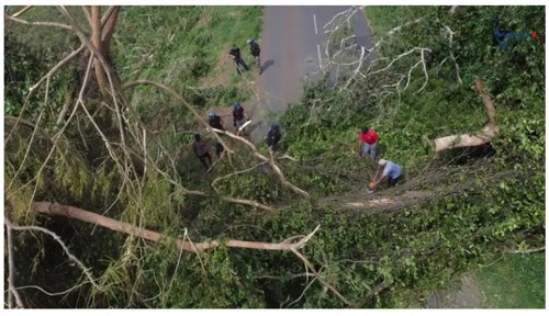圖4、法屬馬亞特島奇多熱帶氣旋事件後現場復原照片(資料來源：BBC news[8])