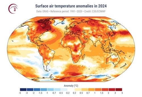 圖 3、2024年陸地與海洋年均溫距平分布圖(資料來源：ECMWF)