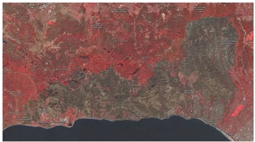 圖11、帕利塞茲野火事件在2025年1月12日之災害影響範圍