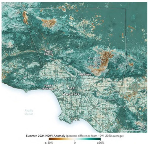 圖8、2024年6月1日至8月31日的加州NDVI分布情況